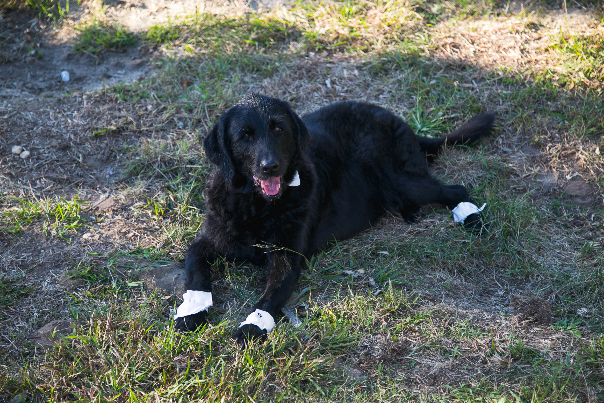 StuXFarrah_150919_72.jpg