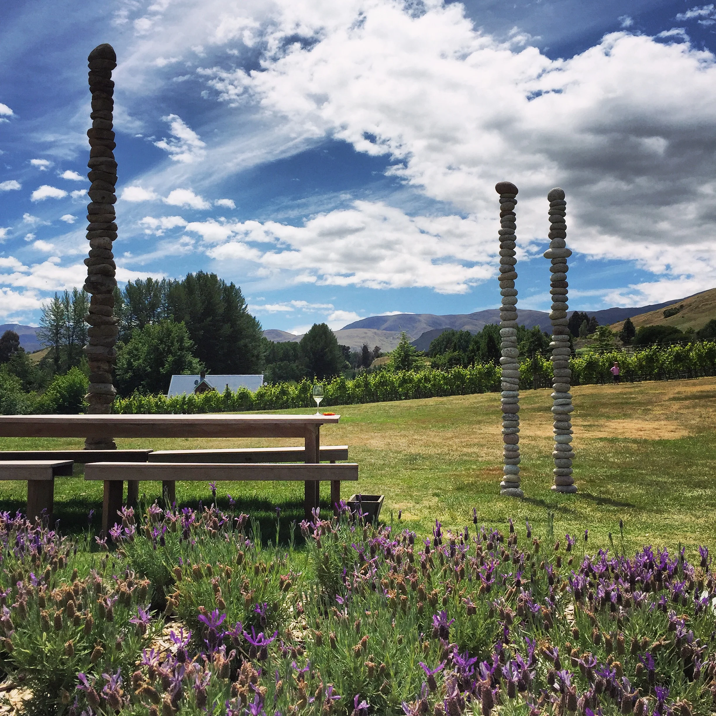 Amisfield Winery is a beautiful lunch stop with outdoor seating and stunning views