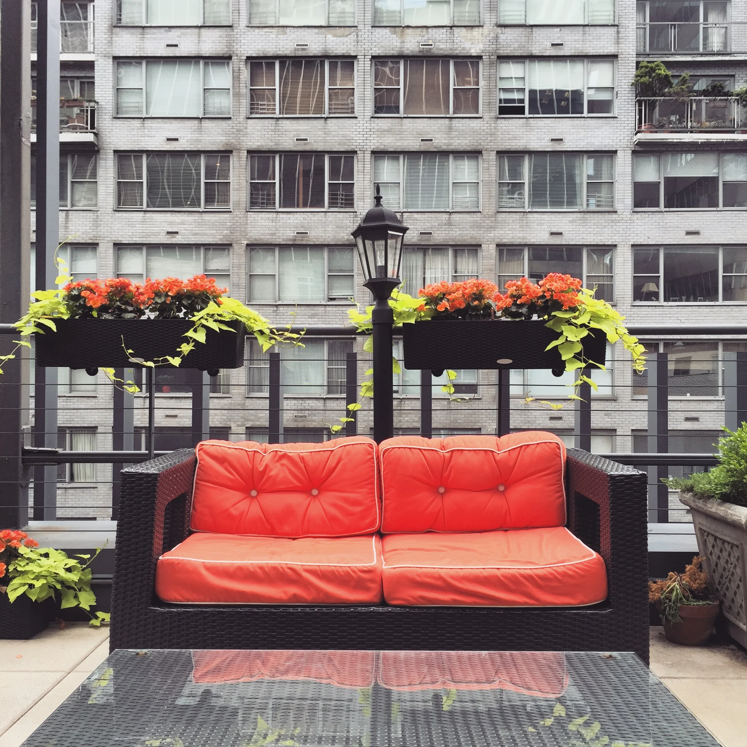 Modern, Mid-Priced Carvi Hotel, New York