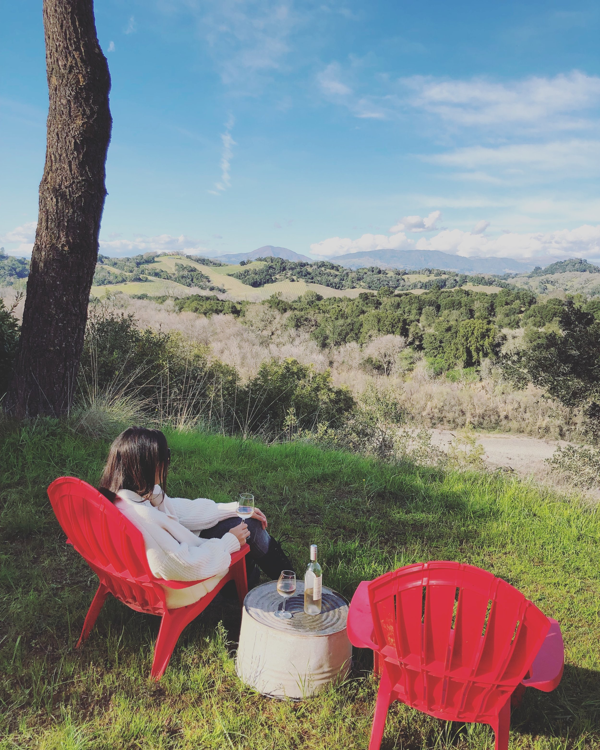 Beautiful views (and rosé !) from the backyard of our Airbnb 
