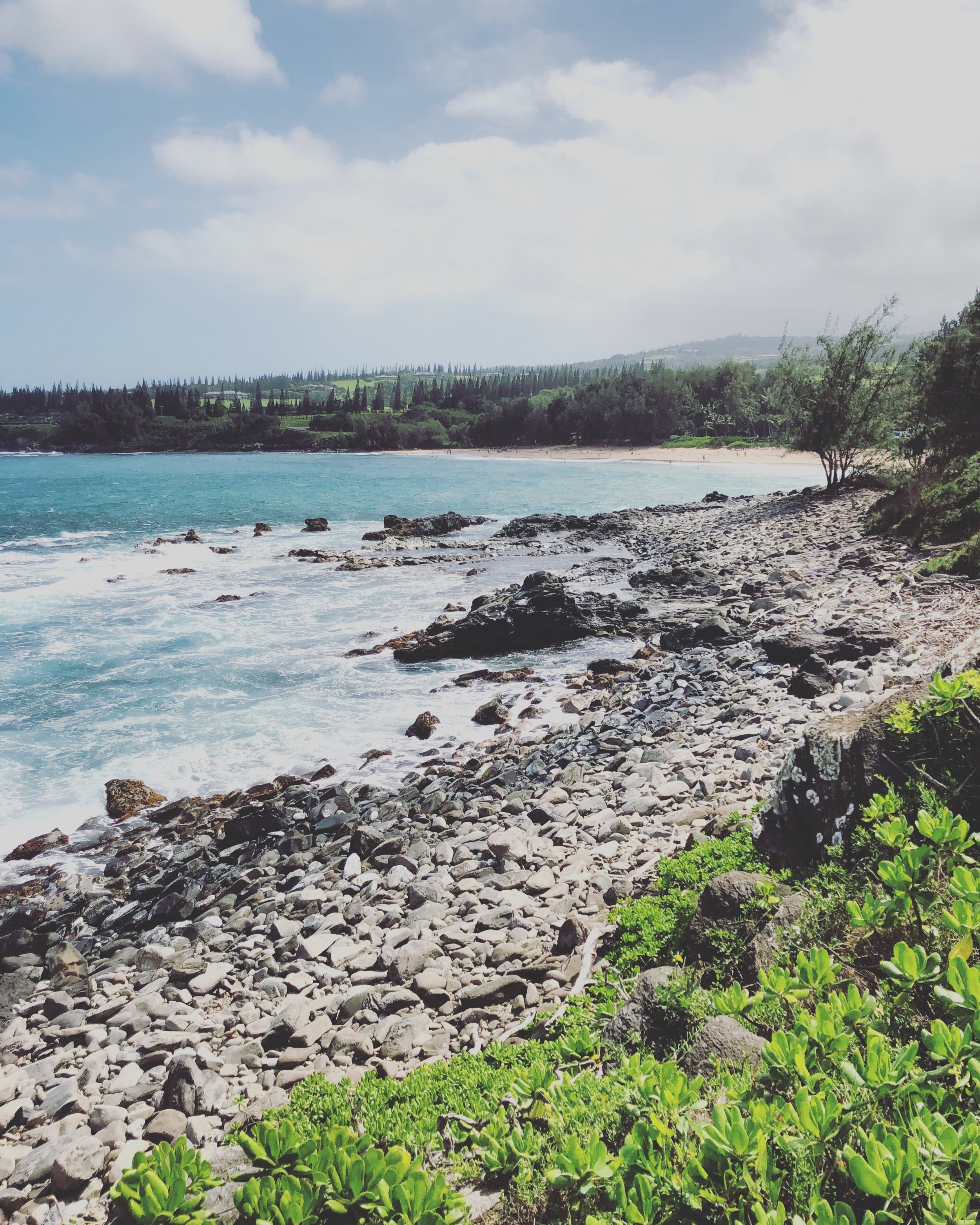 Scenic ocean views on the trail