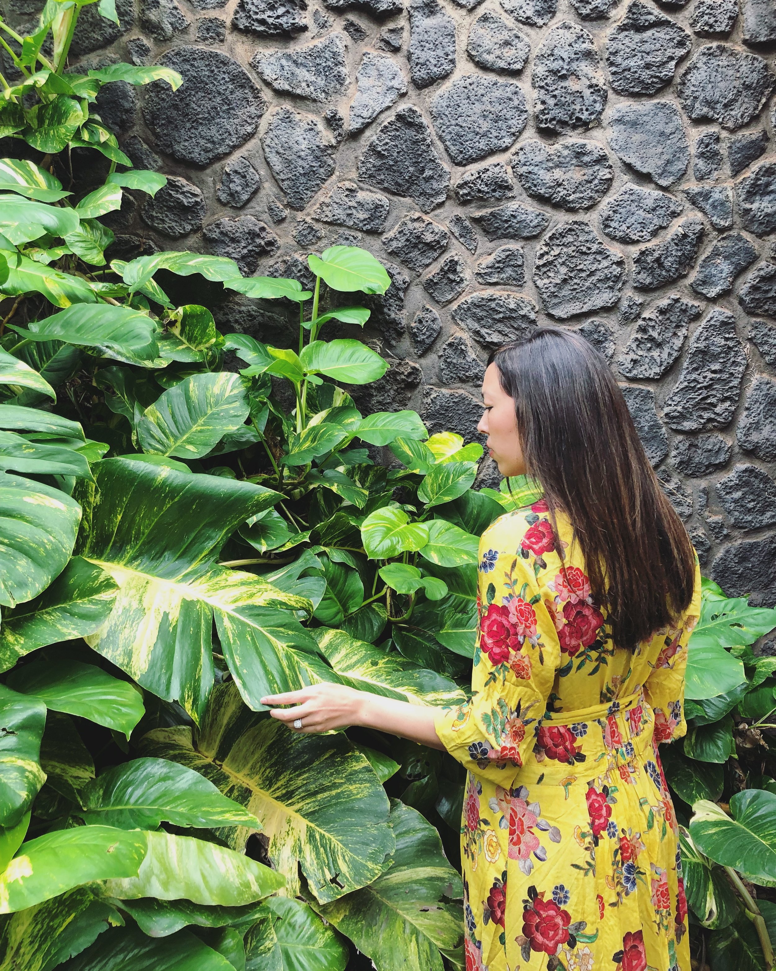 I love the manicured, tropical landscaping all over the property 