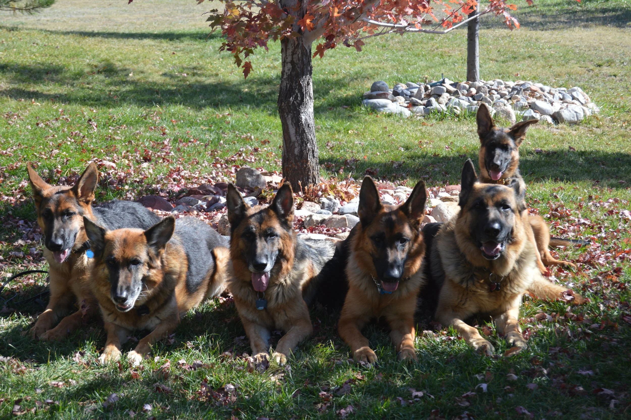 DSC_0842.JPG