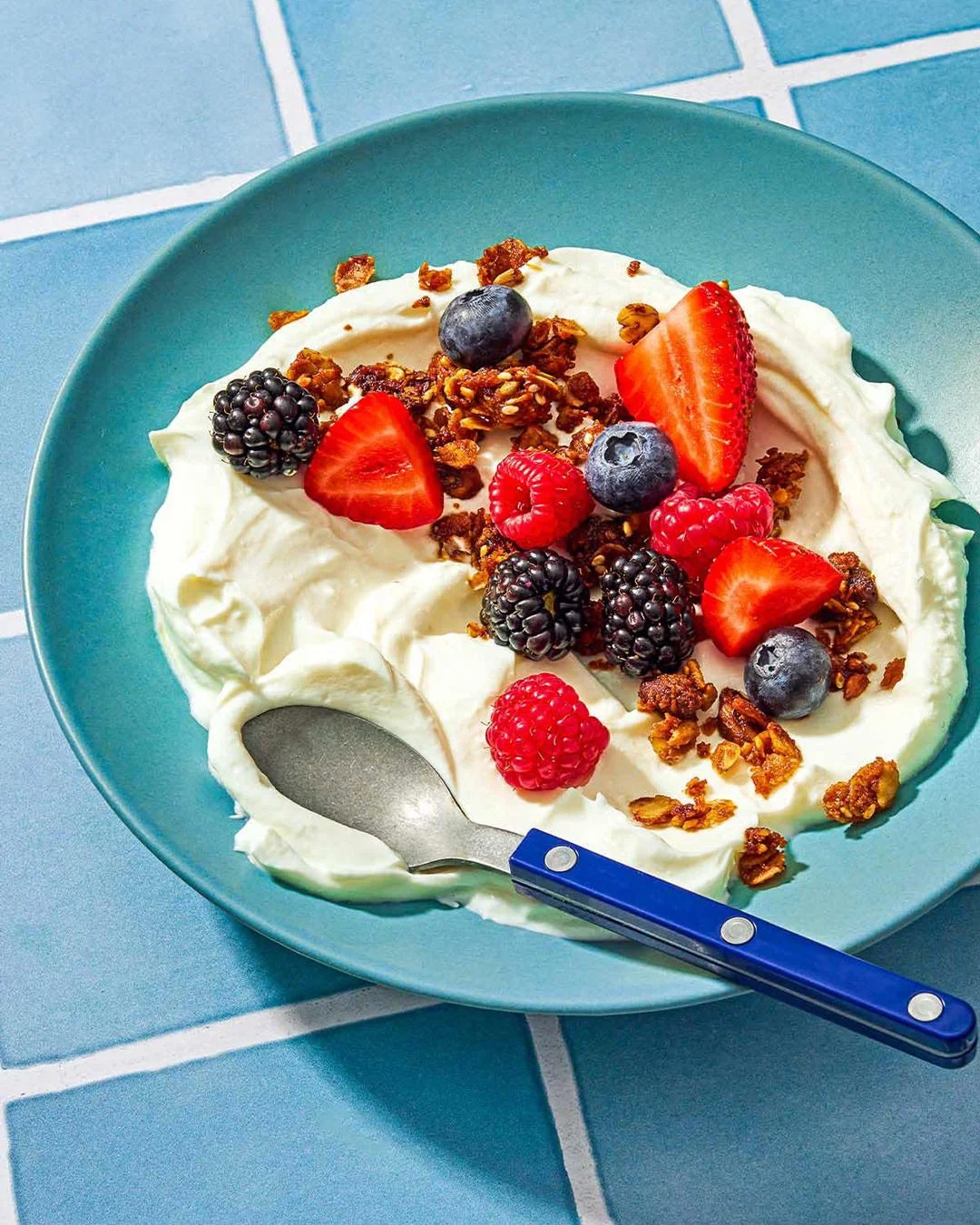 TMD-Homemade-Greek-Yogurt-Leads-03.jpg