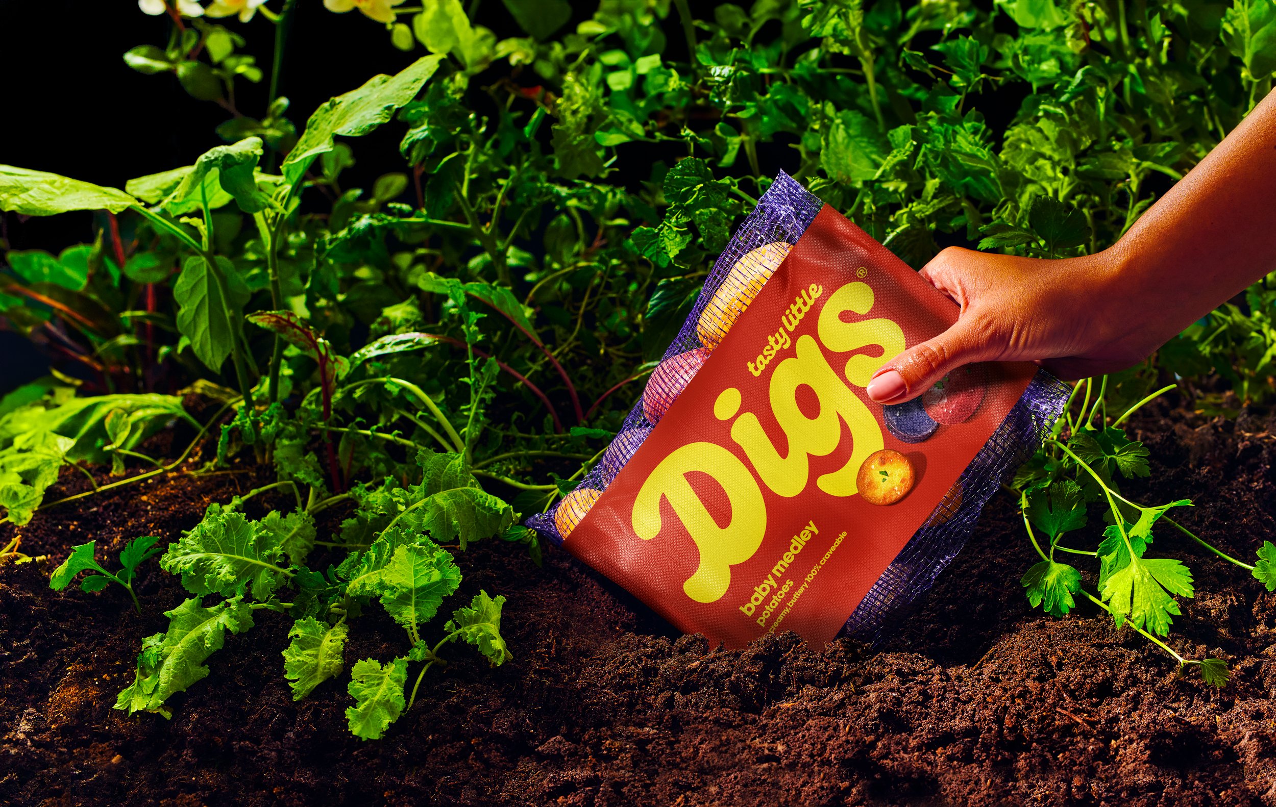 Commercial photography of a bag of potatoes being pulled from the dirt