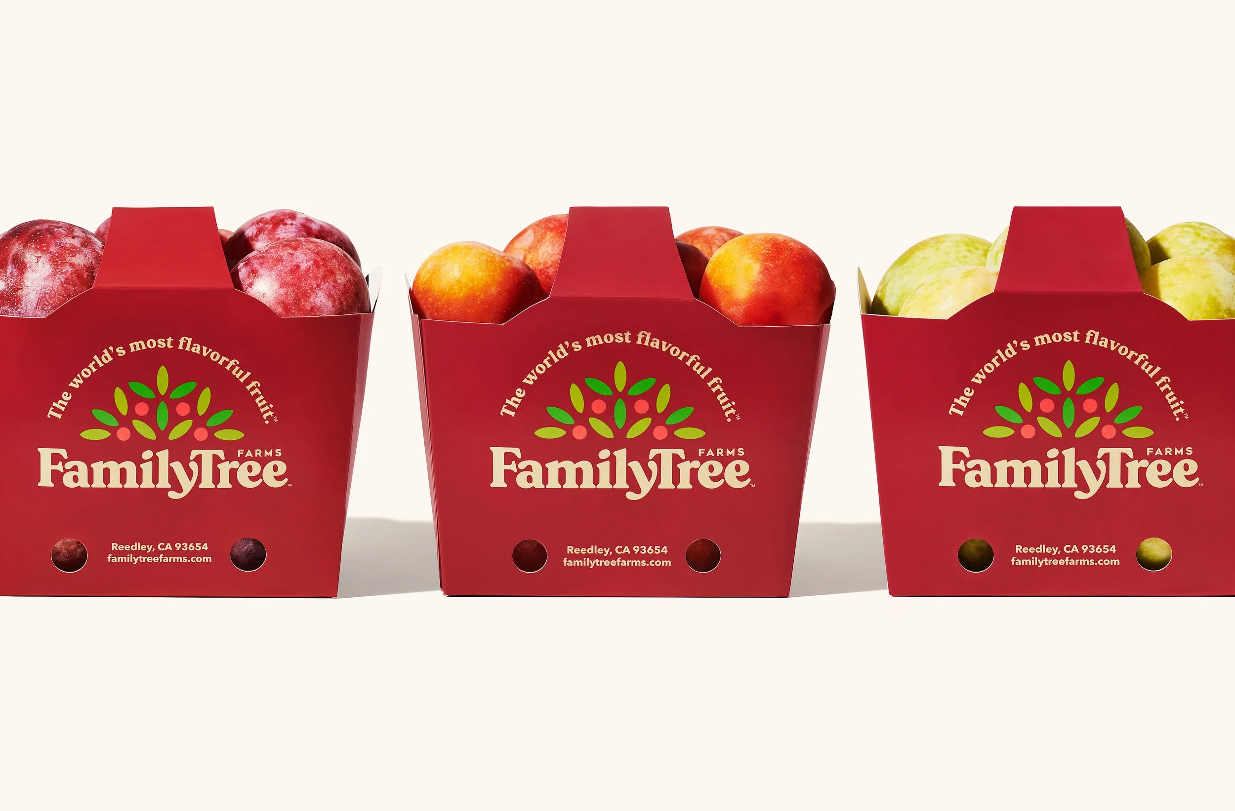 FamilyTree_PackageDesign_Totes1.jpg