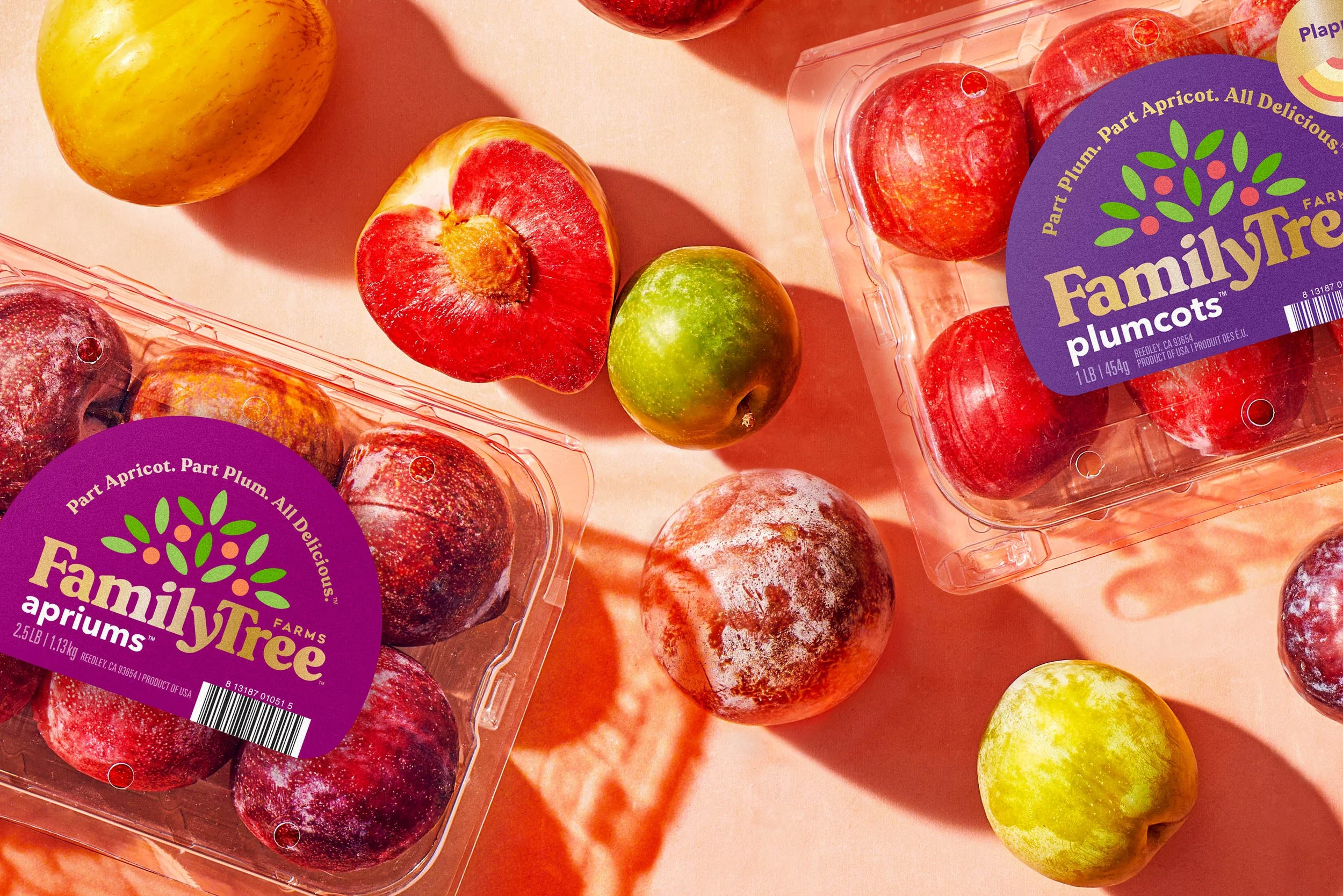 Freshmade_Website_FTF_75885-BeautyShot-Clamshells (1).jpg