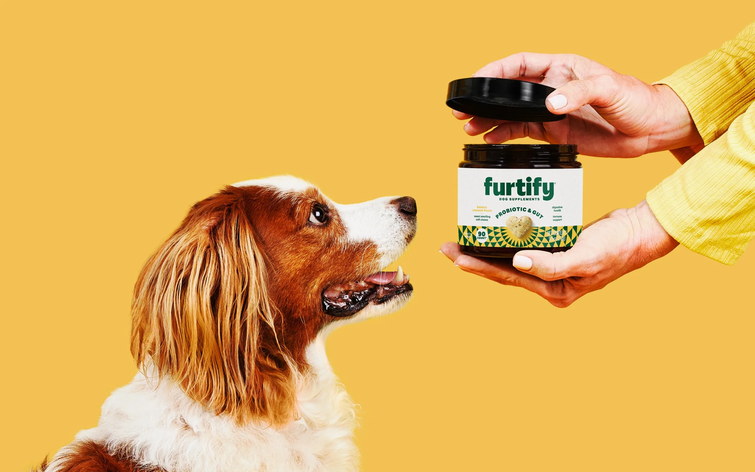 Furtify_PetFood_Photography_1.jpg