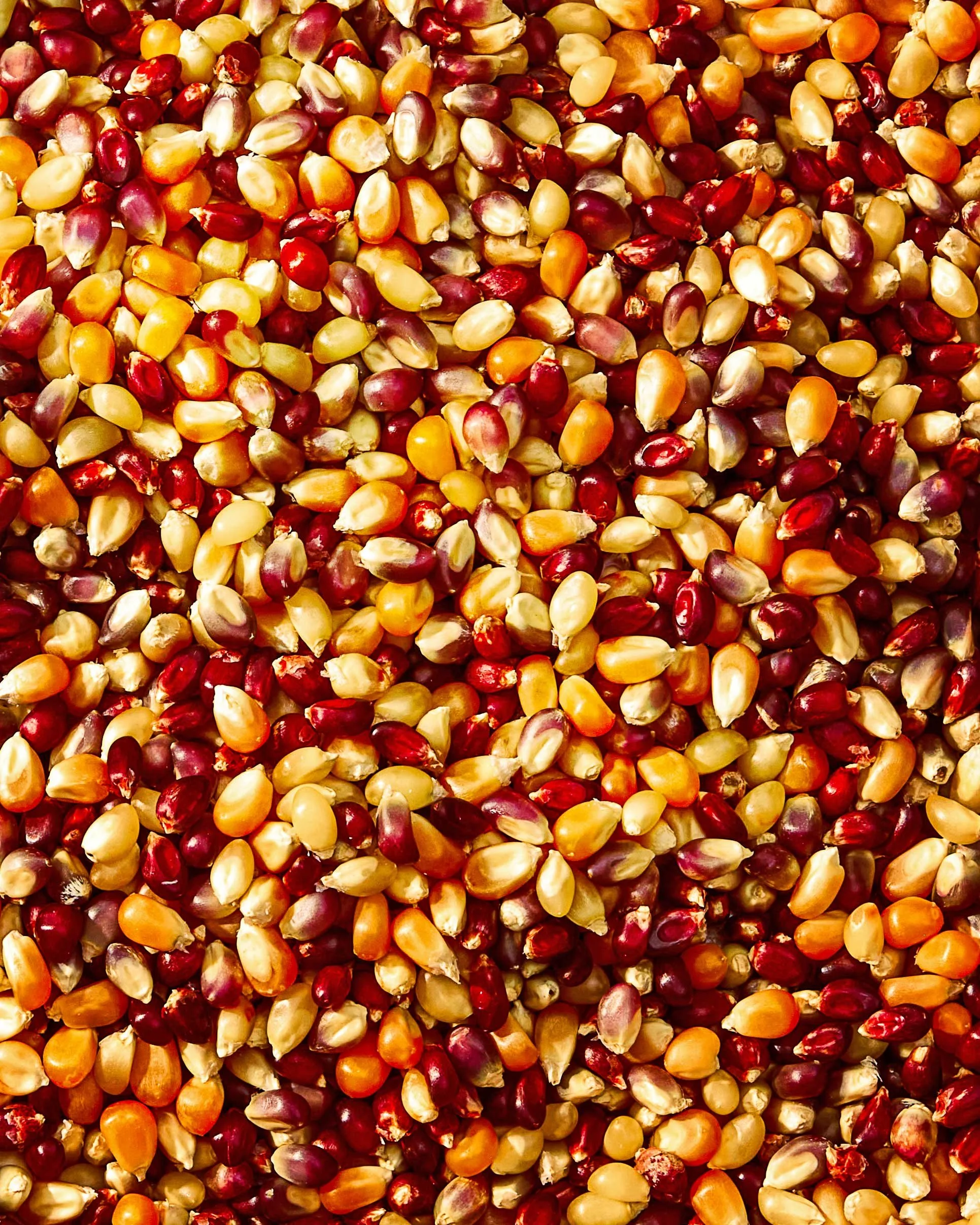 Commercial photography of a close up shot of multicolored popcorn