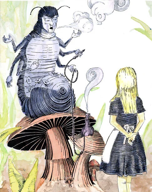 alicemaincolor.jpg