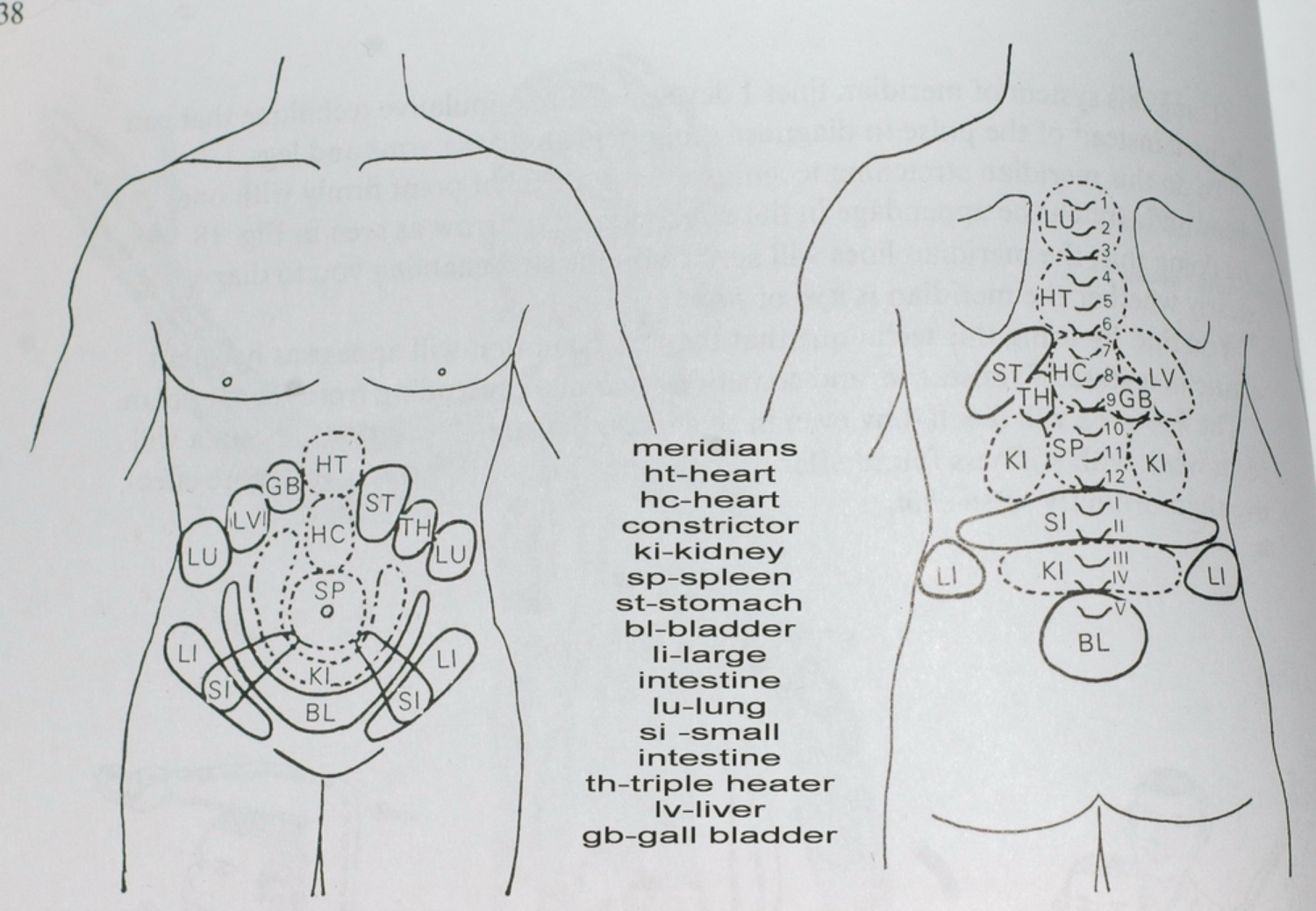 Here is a picture of the Hara associations in Shiatsu. 