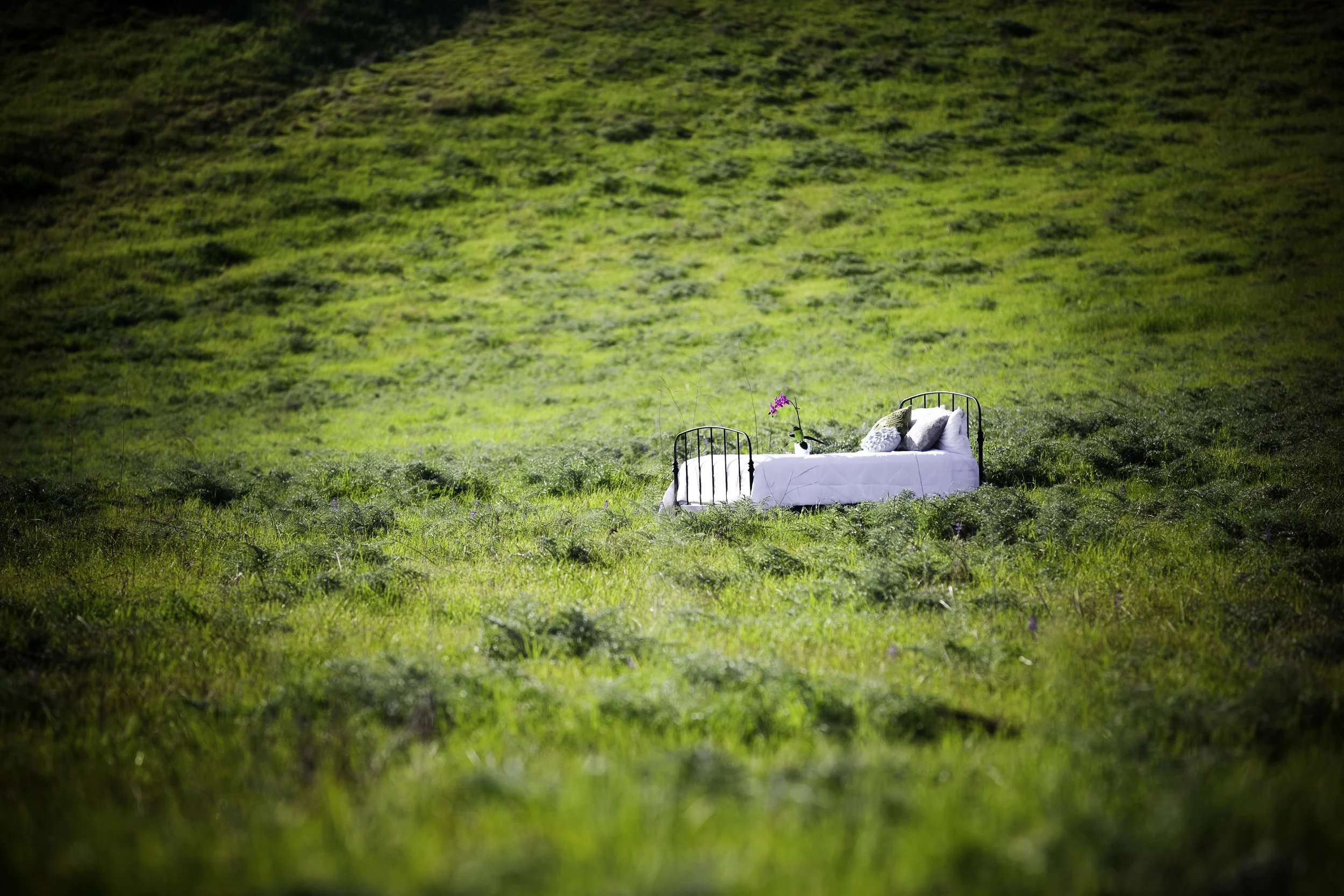 Bed in Field - General.jpg