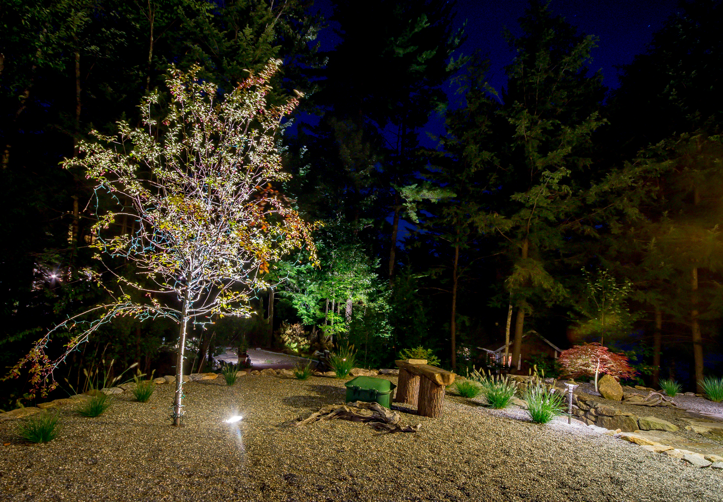 Uplighting trees and other plantings draws the eye and frames the property.