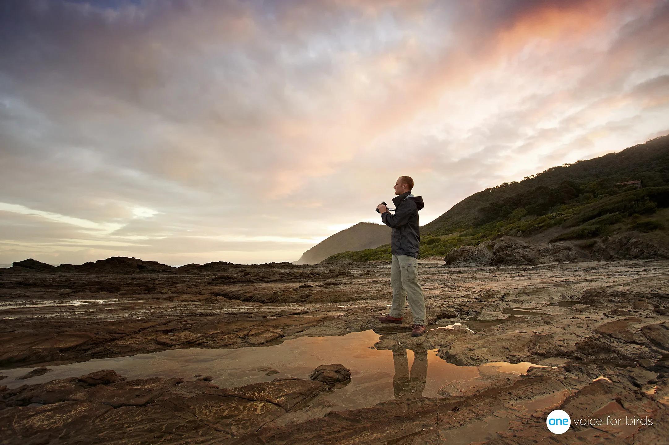 BirdLife Australia