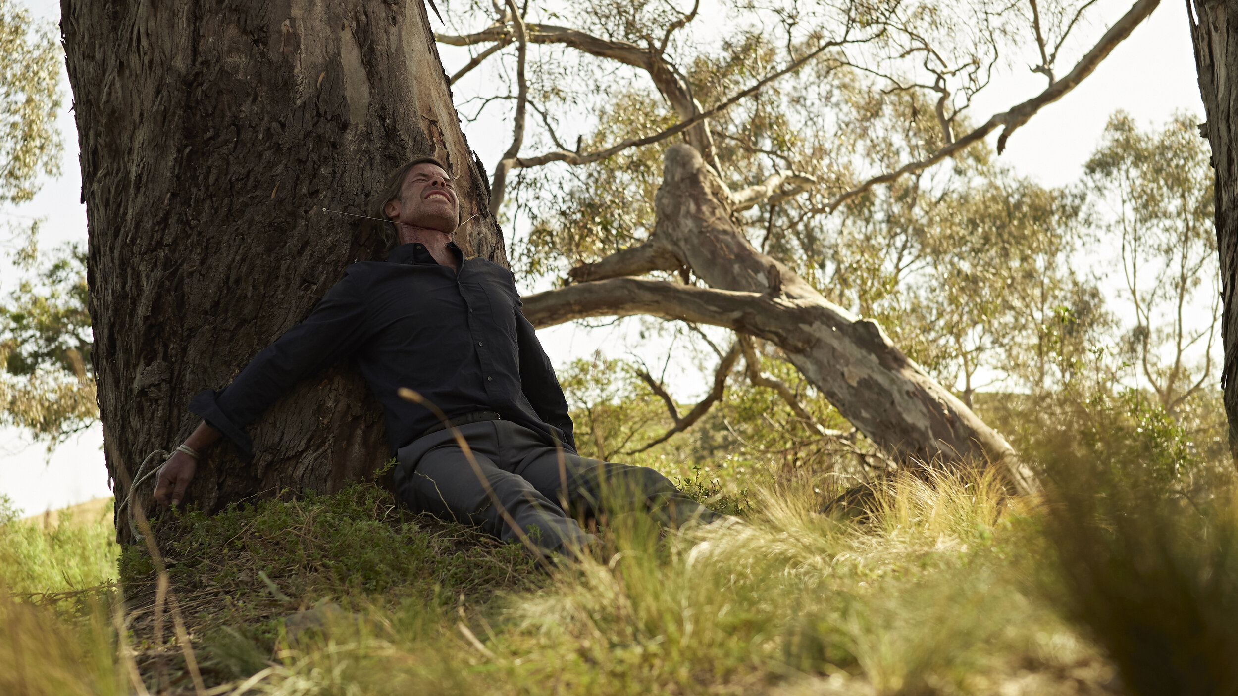 A man in a black shirt and gray pants is sitting against a large tree trunk outdoors, with his head tilted back and eyes closed, surrounded by grass and trees.