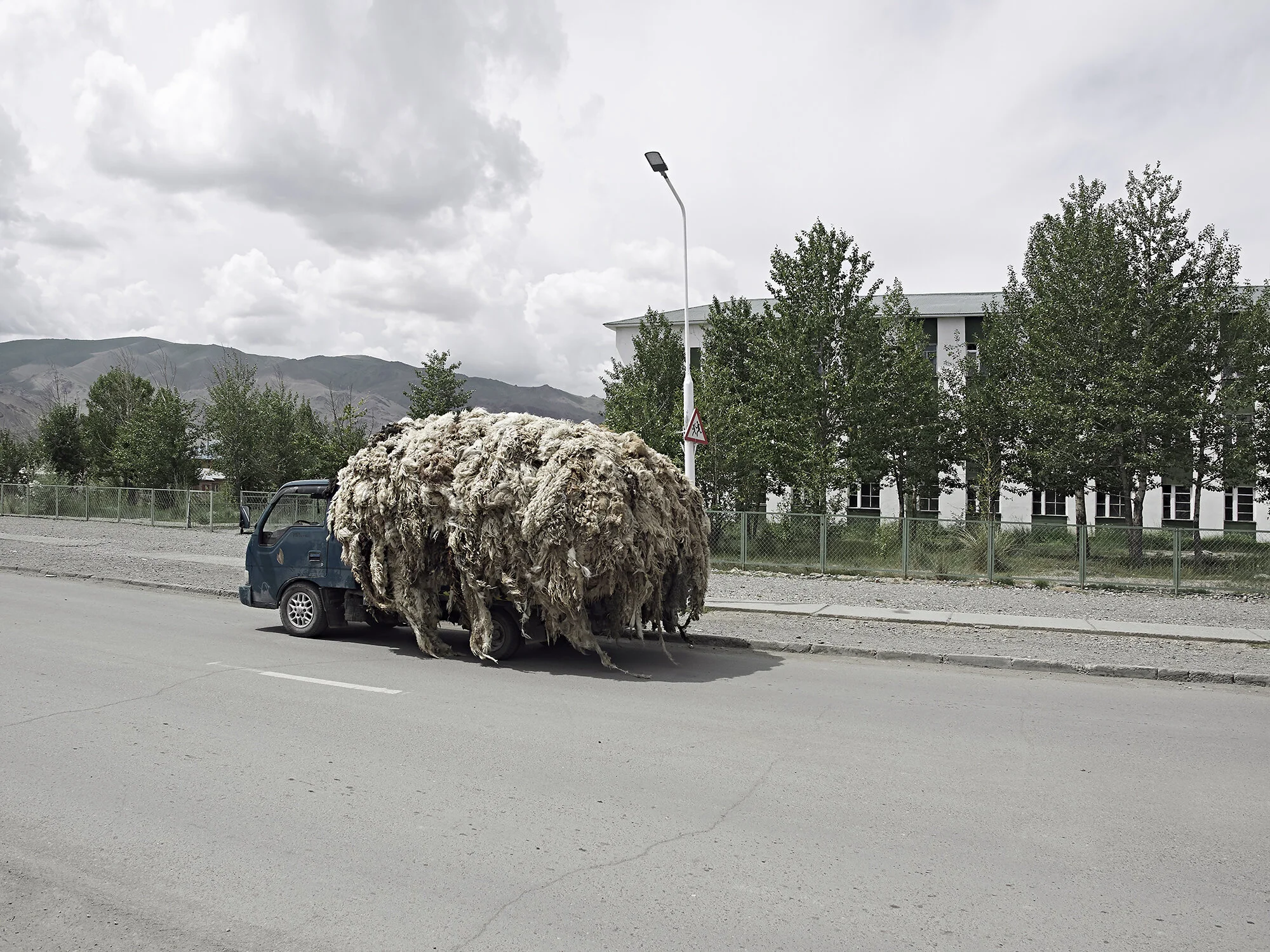 2016_MONGOLIA TRIP-01267_90cm copy.jpg