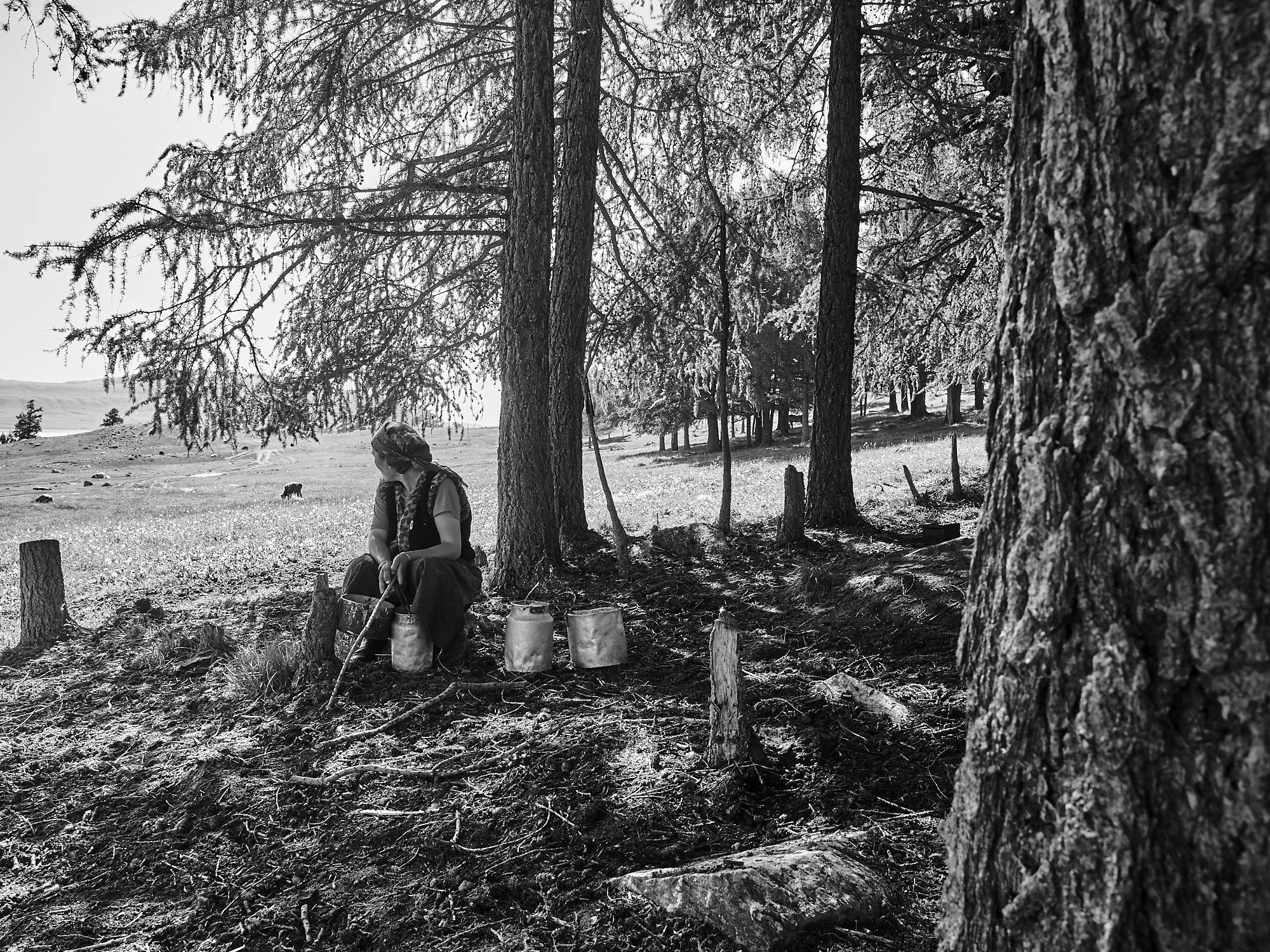 2016_MONGOLIA TRIP-02564.jpg