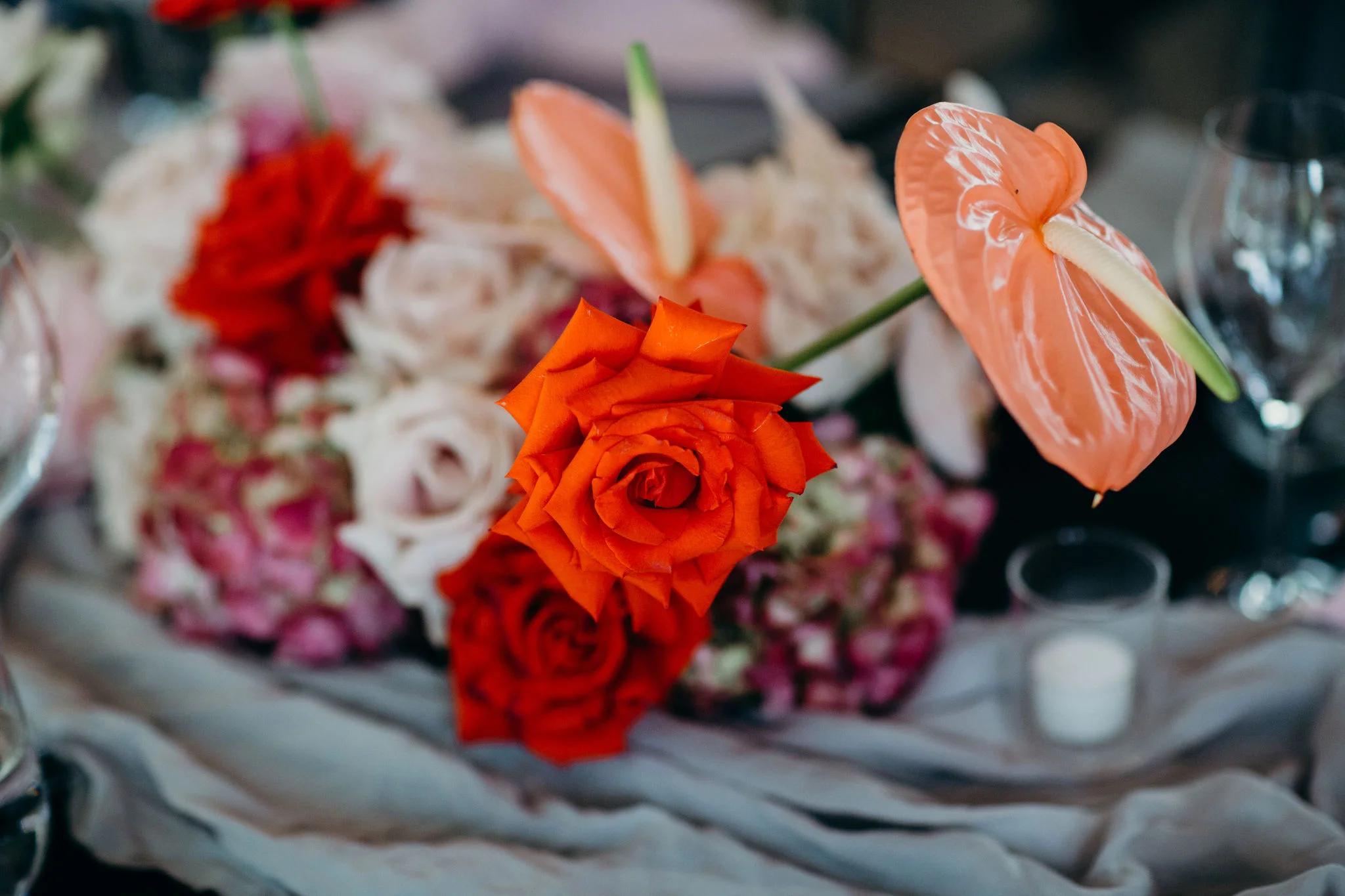 wanderlust_coombe_010319-19.jpg