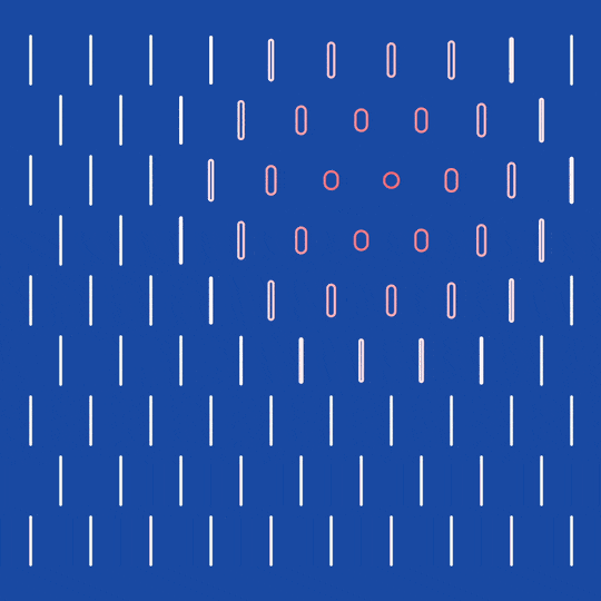 Comp_3.gif