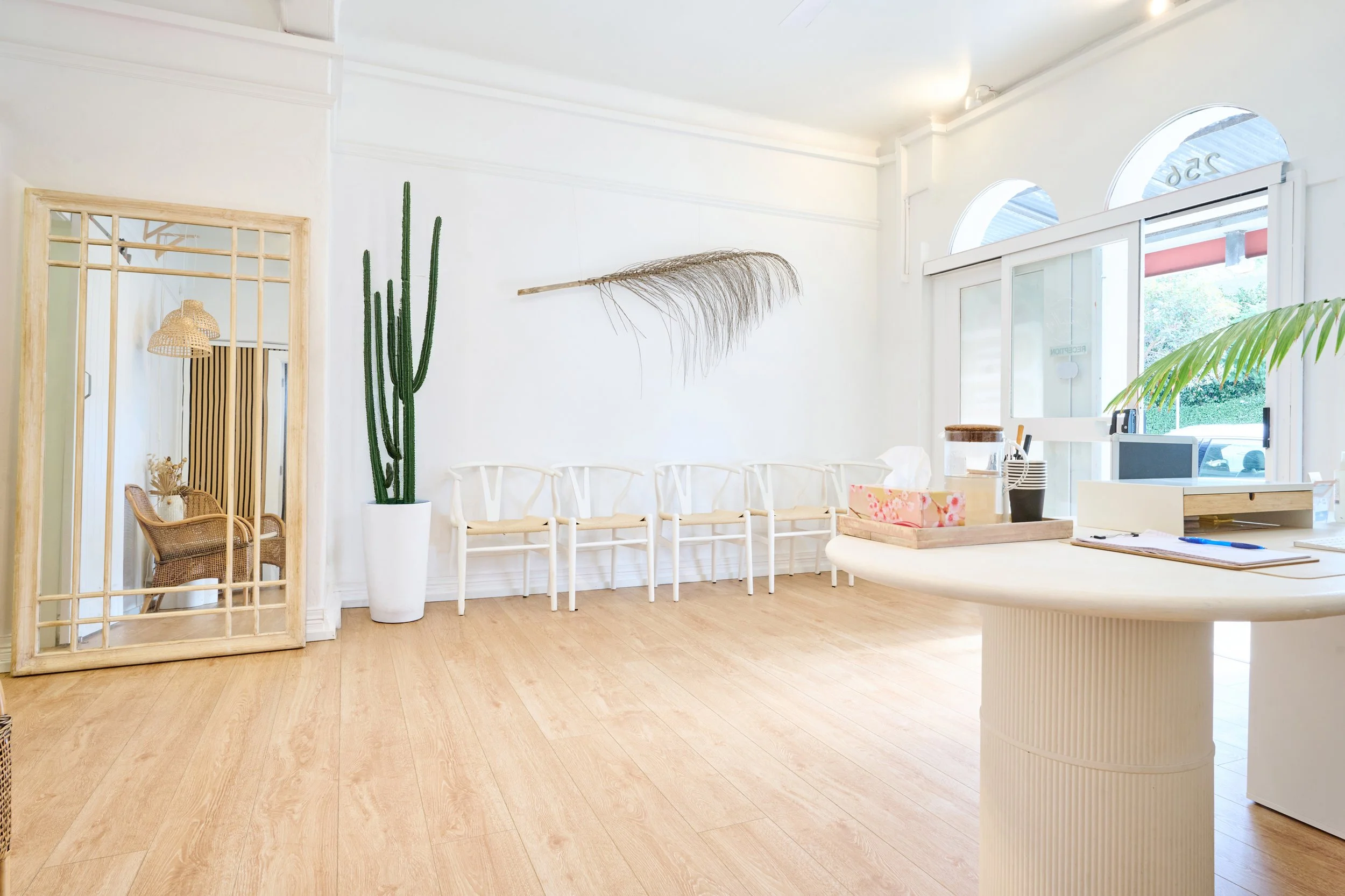 Bright, minimalistic interior with white walls, wooden flooring, a row of white chairs, a tall potted cactus, and large arched windows.
