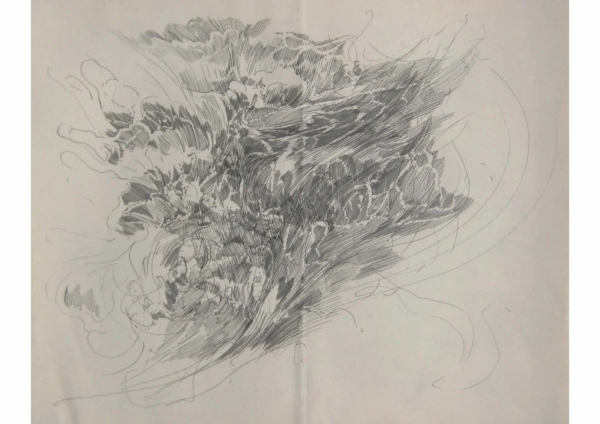 Sarah Simblet Roses Sarah Simblet — Interim