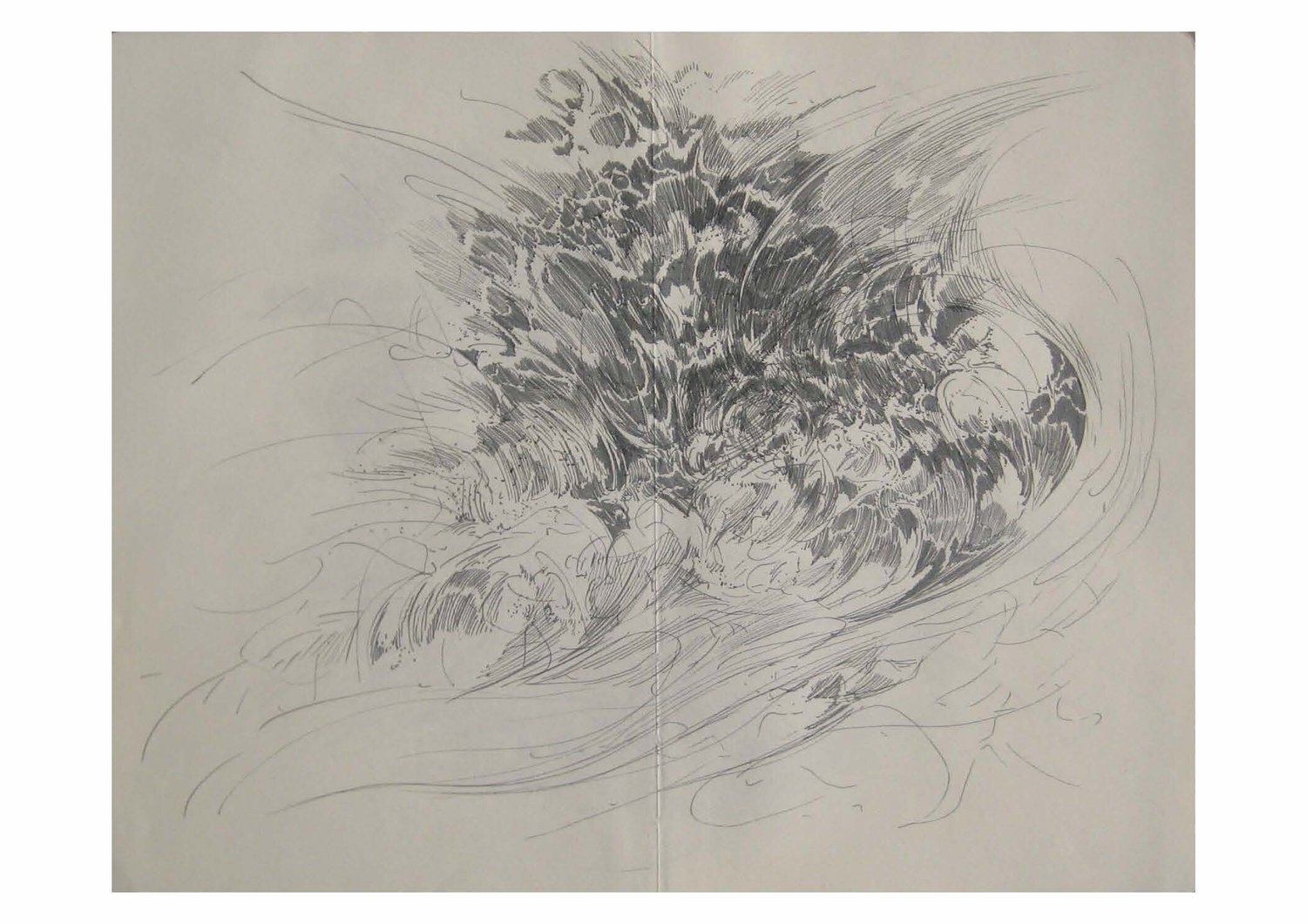 Sarah Simblet Roses Sarah Simblet — Interim