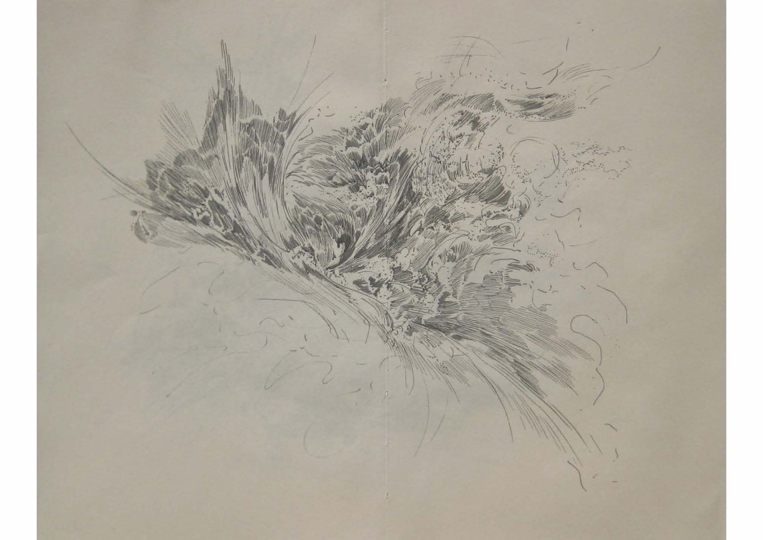 Sarah Simblet Roses Sarah Simblet — Interim