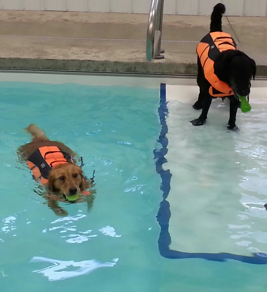 Pool pics.jpg
