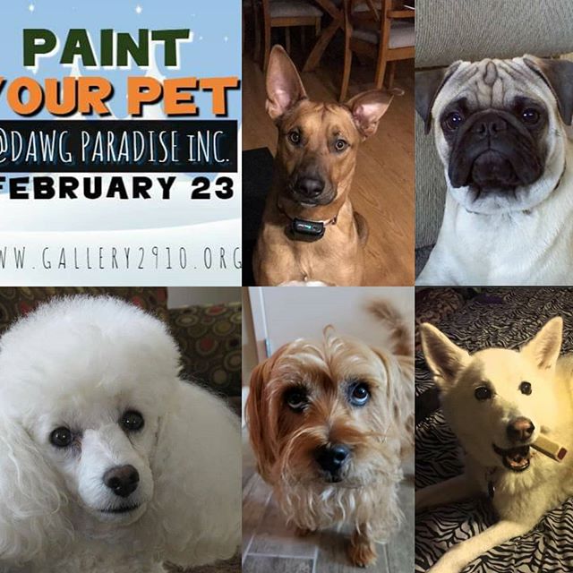 Tickets are going quick, get yours today! Look at some of the cute pups that will be painted!! Feb 23 at Dawg Paradise two classes 12 noon and 4pm