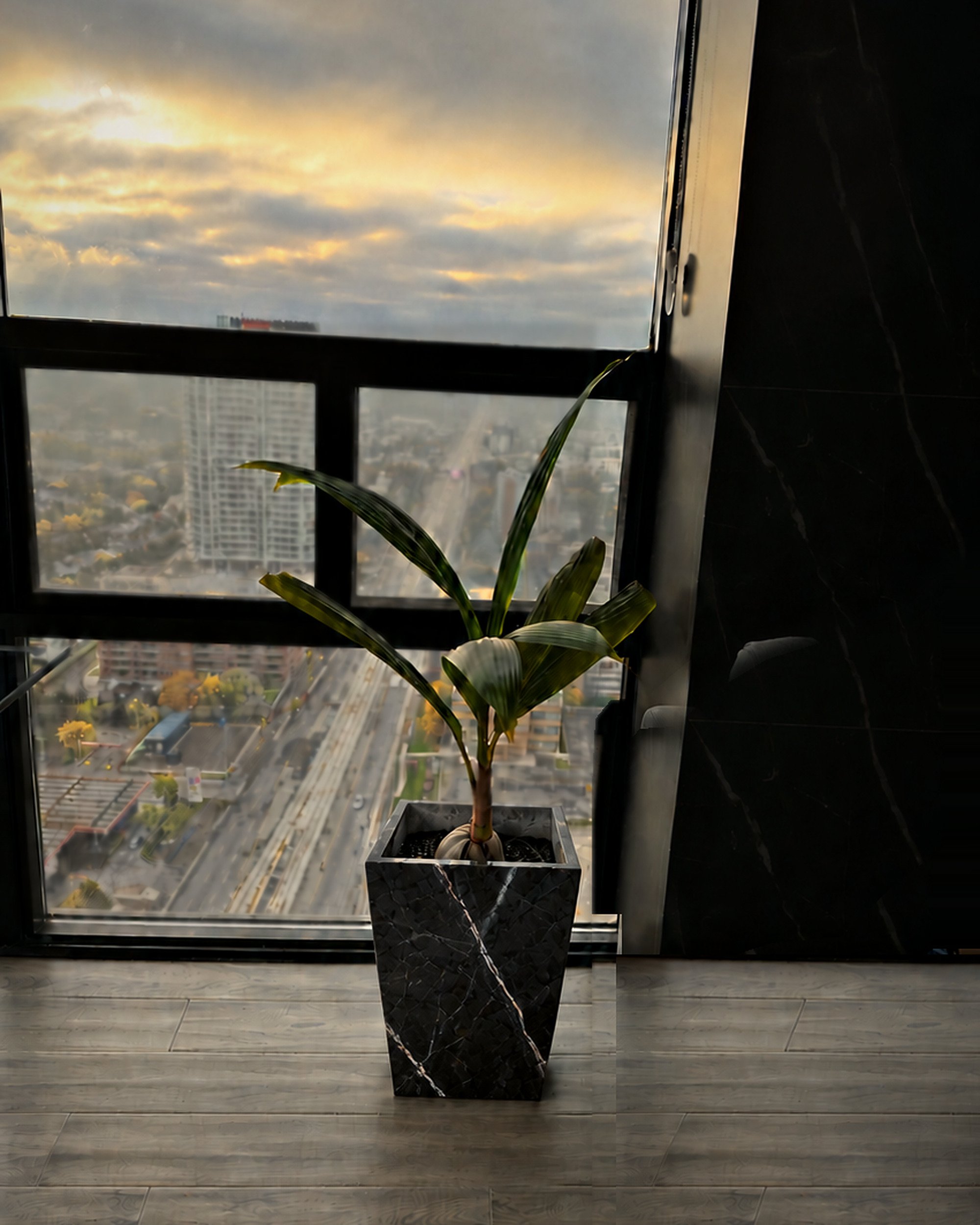 plantpot_black_4x5.jpg