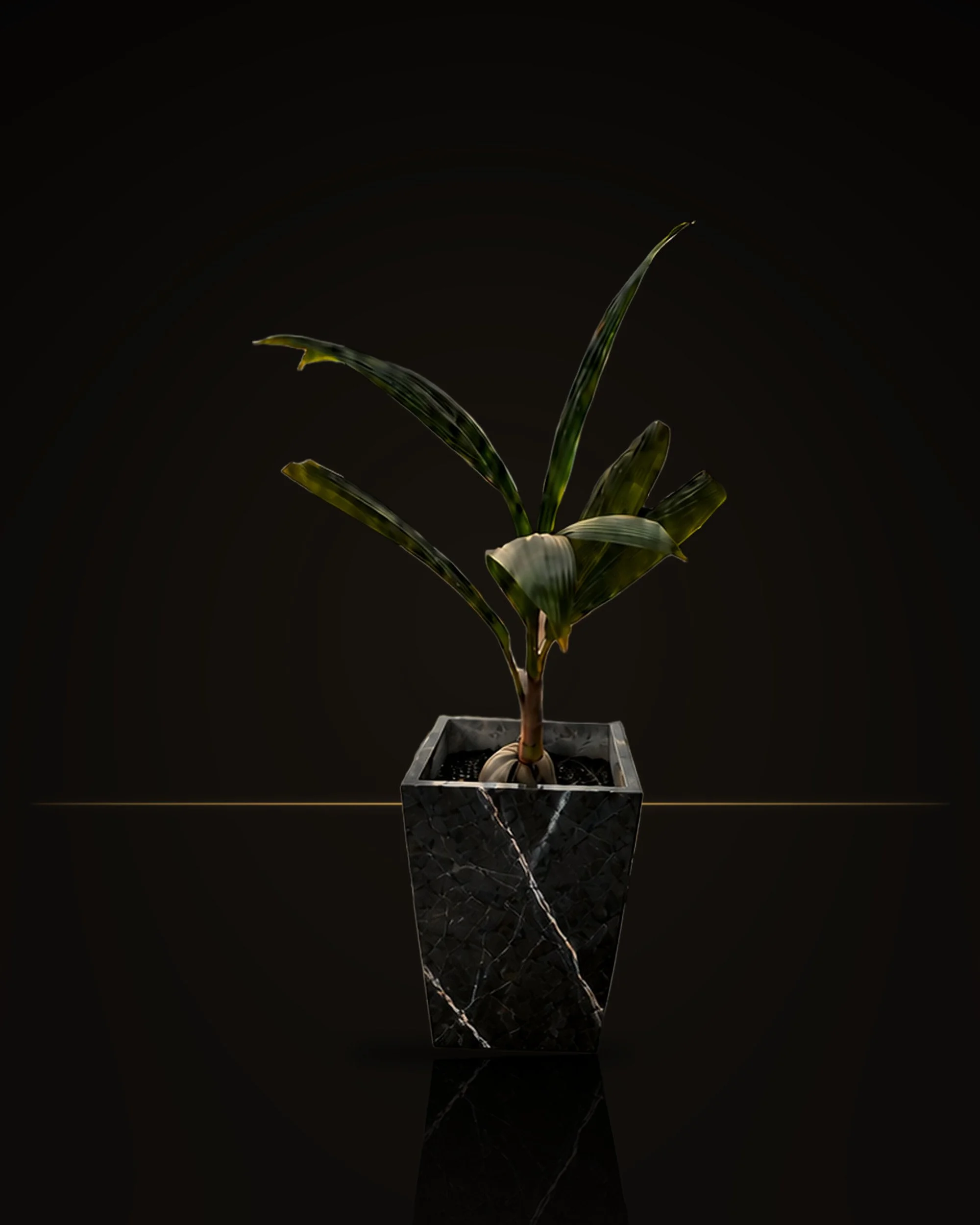 plantpot_black_studio_gold_4x5.jpg