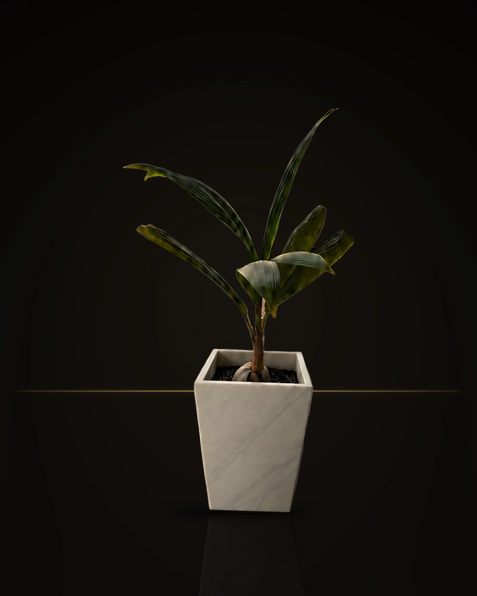 plantpot_white_studio_gold_4x5.jpg
