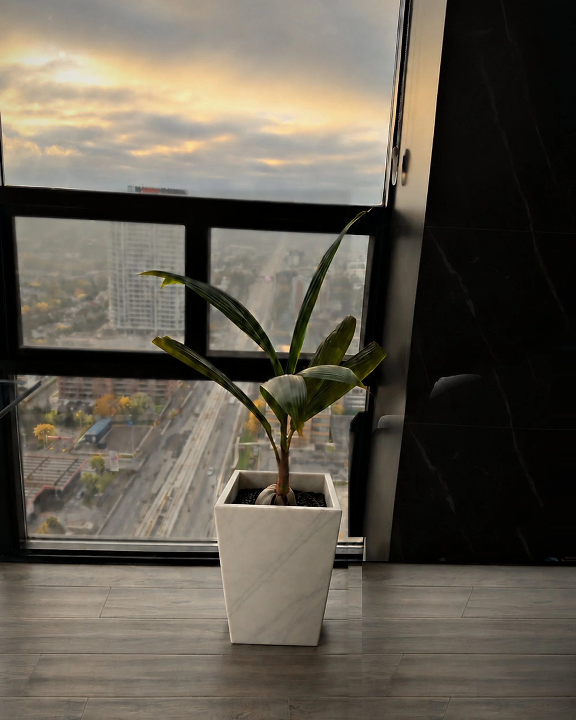 plantpot_white_4x5.jpg