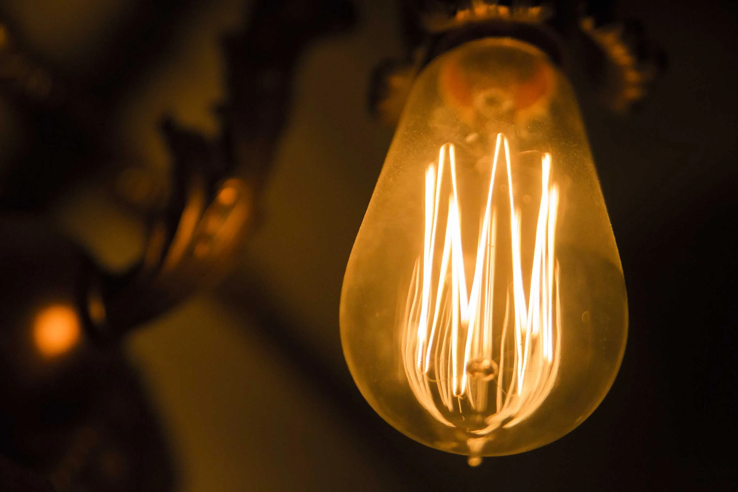 bulb.jpg