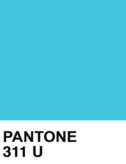 PANTONE 311