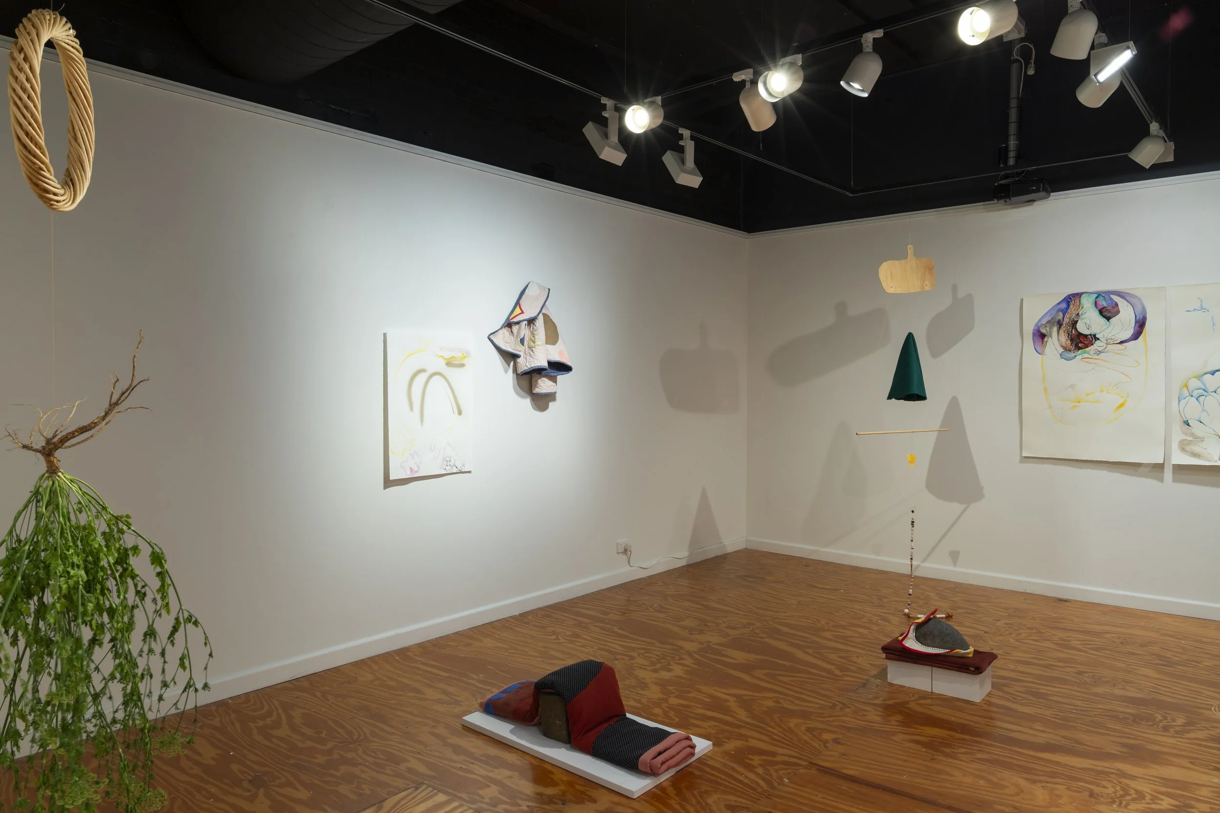 The eddy and the flow Installation view 2023. Works by Heidi Smith. Image courtesy of Fiona Little.