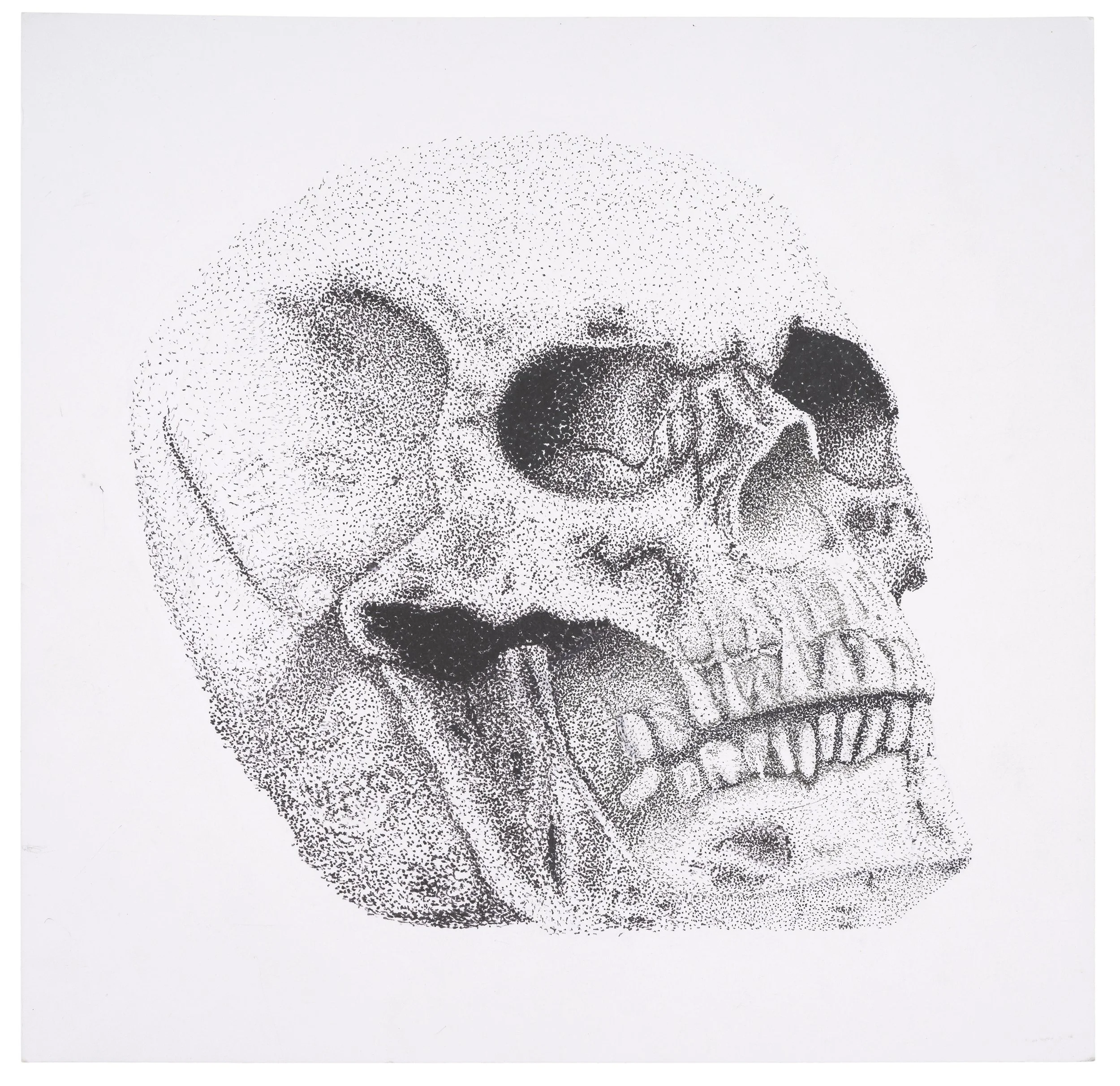 Young Drawers Main Prize 2025 - Senior Prize