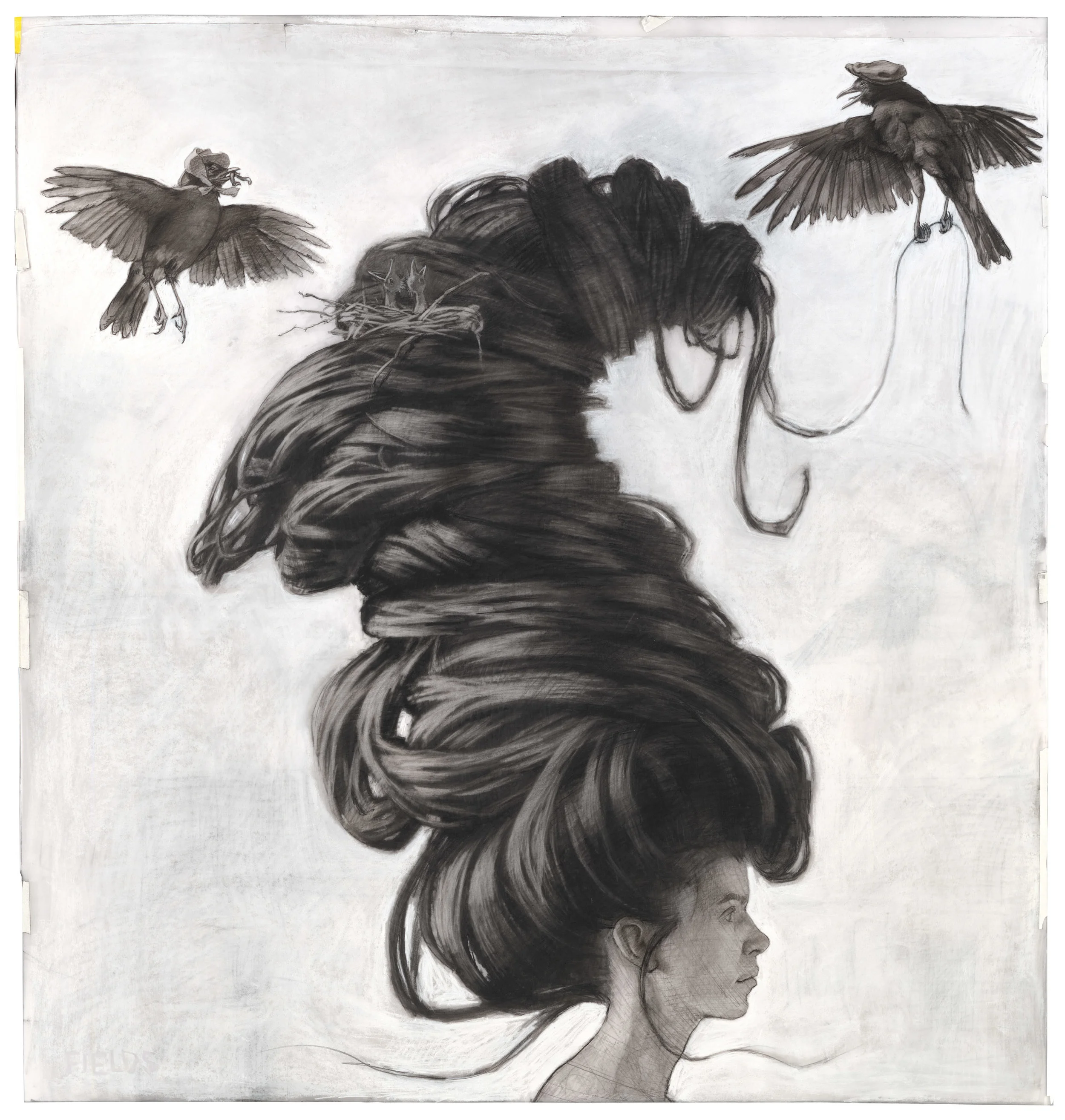 Best Nest, Drawing