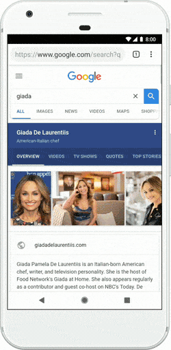 Google-visual-search-stories.gif