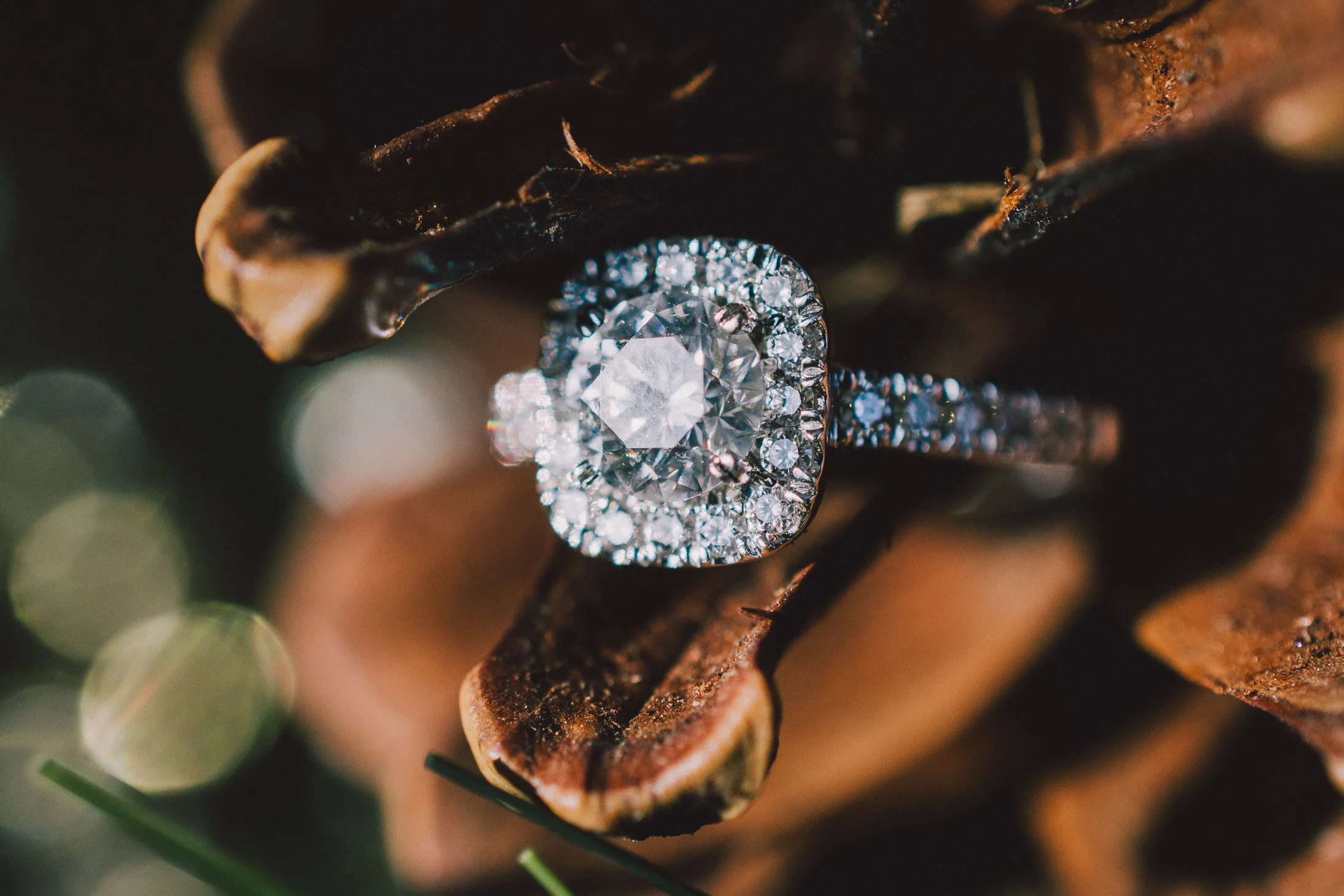D&L_engagement-058.jpg
