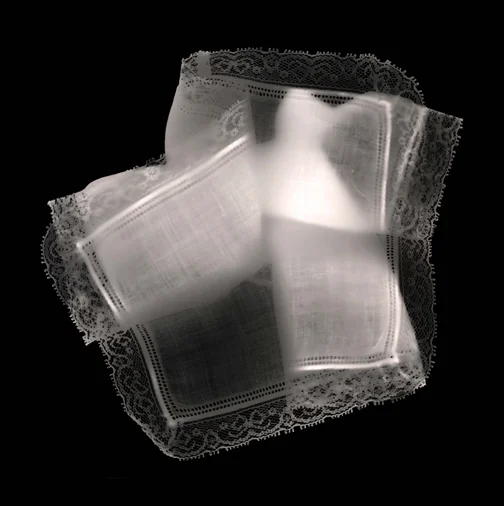 No. 19