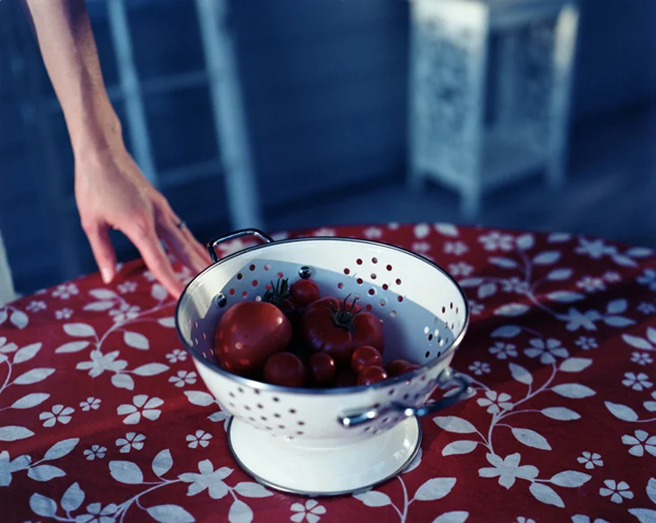 Last Tomatoes of Summer