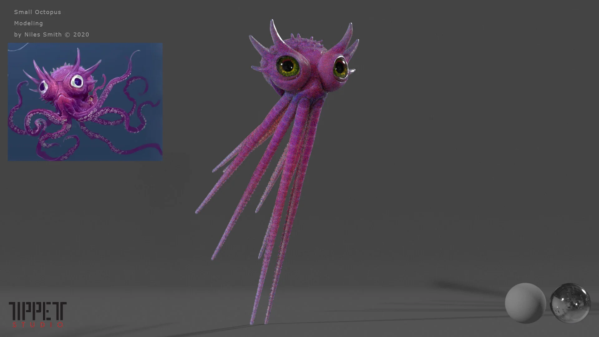 SmallOctopus_FullView.jpg