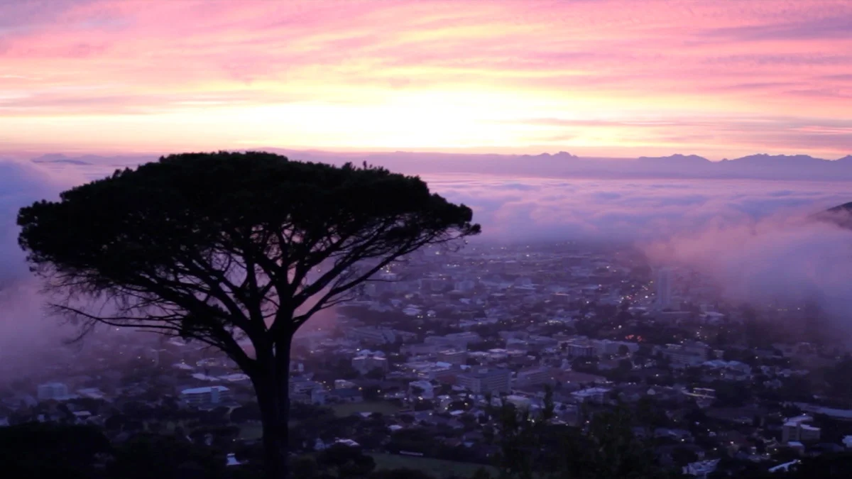 Expedia: Sight UnScene Cape Town