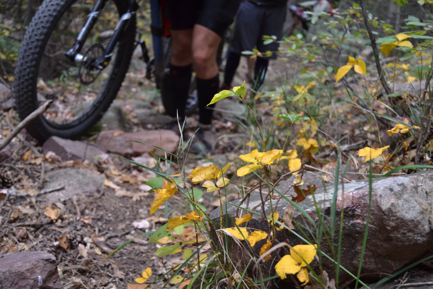 Gnarhart Loop