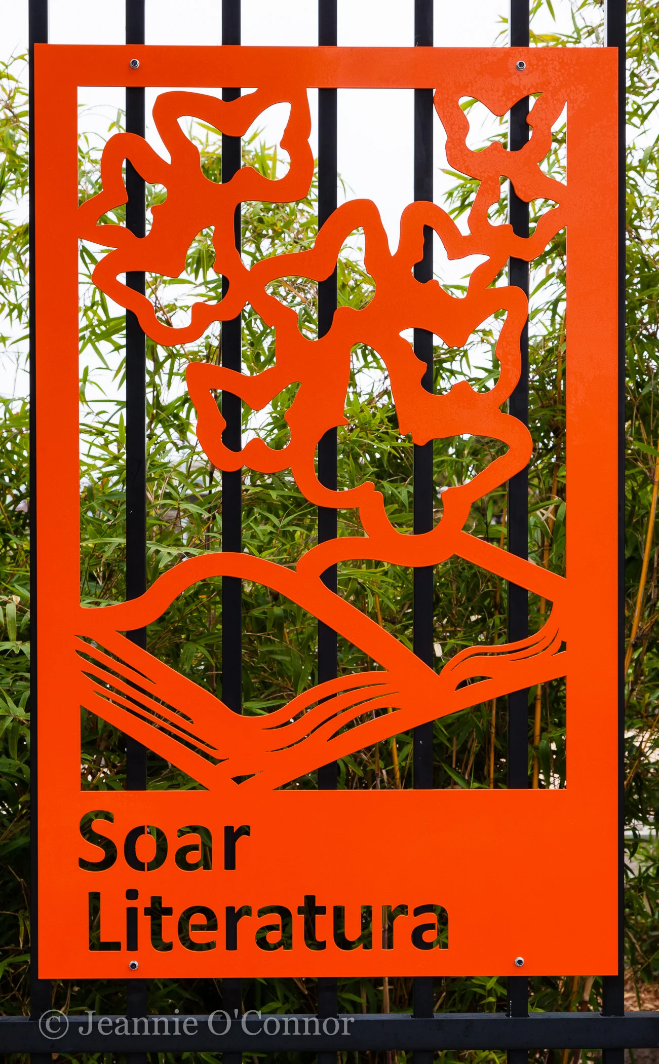 " Soar Literature "