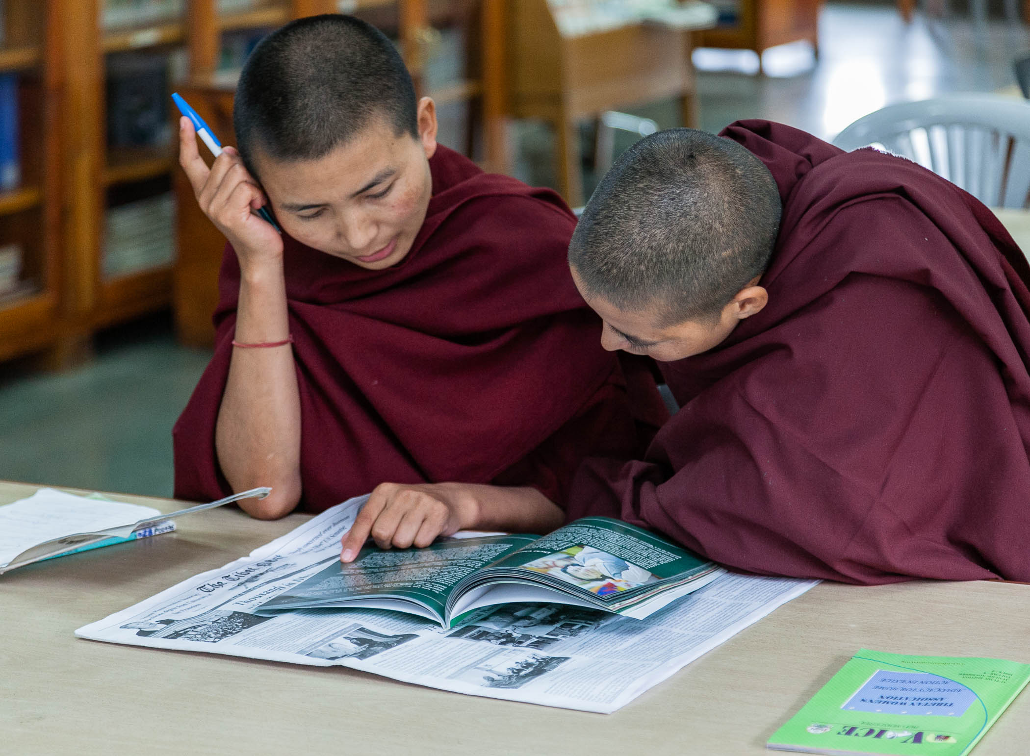 Reading in the Library