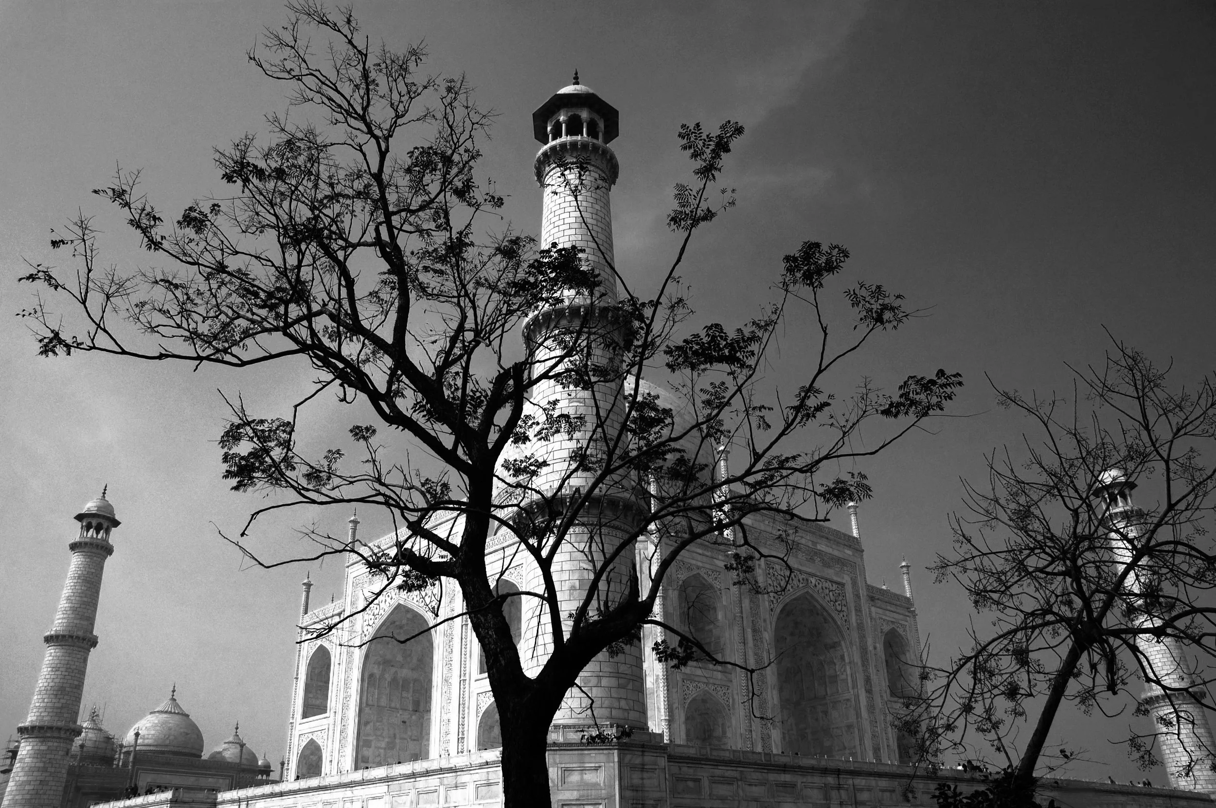 28.13 Agra (LE)