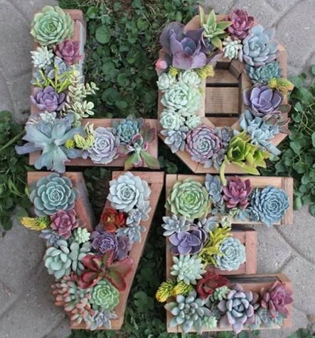 PC: Etsy / Succulent Wonderland