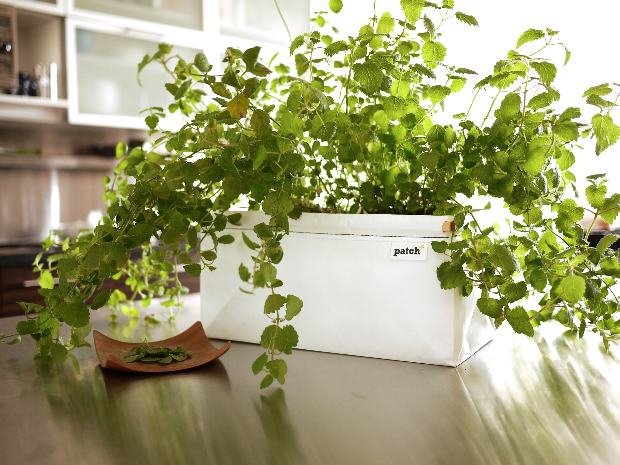 lets_patch_self_watering_planter_06.jpg
